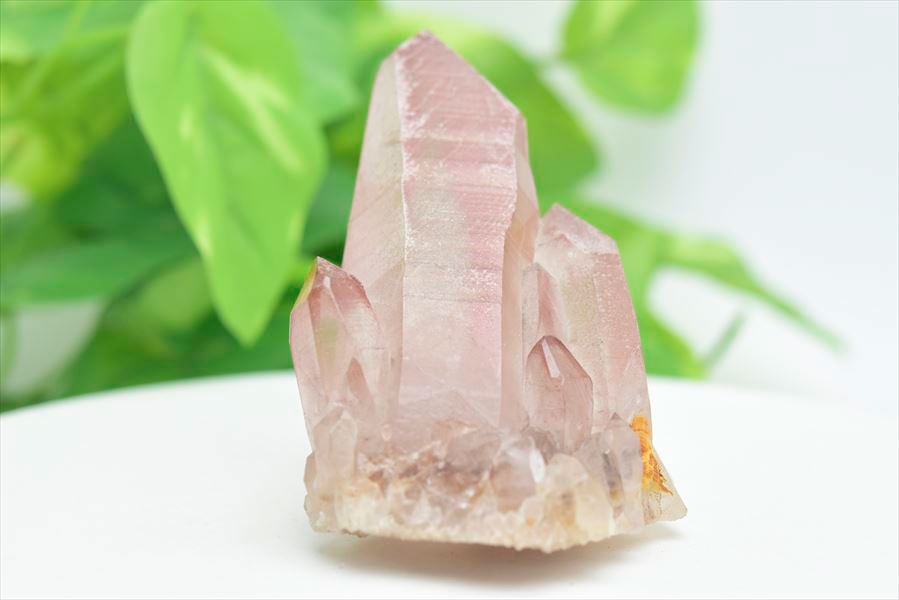 ピンクレムリアン クラスター 原石｜レムリアンシードクリスタル