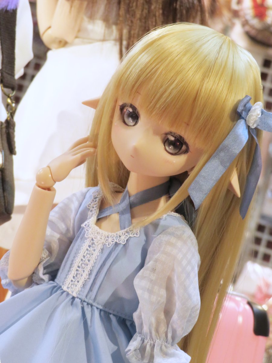 8月28日（日）まで！】「DDドリームチョイスオーナー様特別オプション