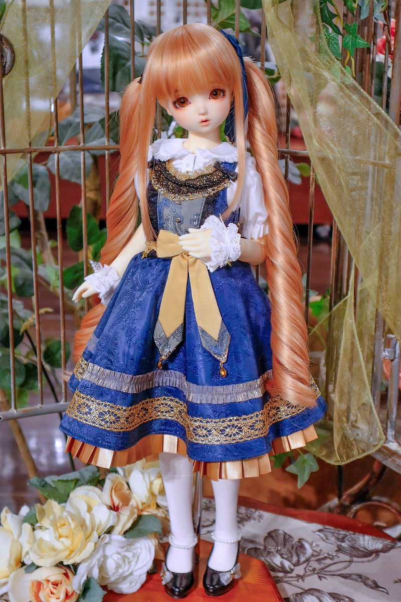 VIP会員様必見！『「VIPクーポンシール」2025』のご案内♪ | ドール