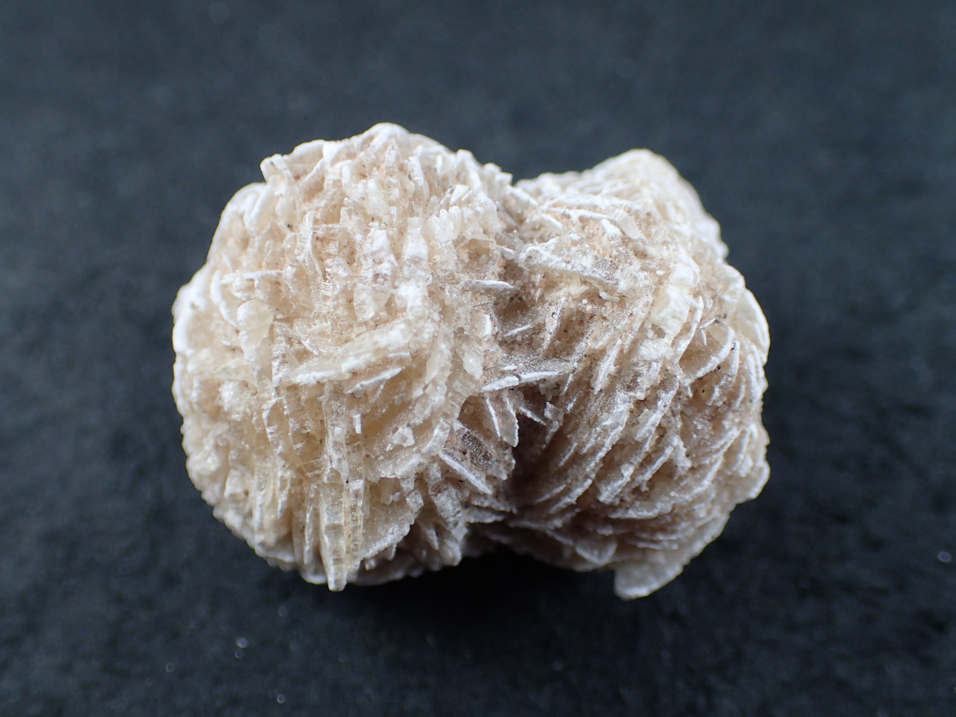 砂漠の薔薇（デザートローズ） モロッコ・サハラ砂漠 産 ｜石の販売