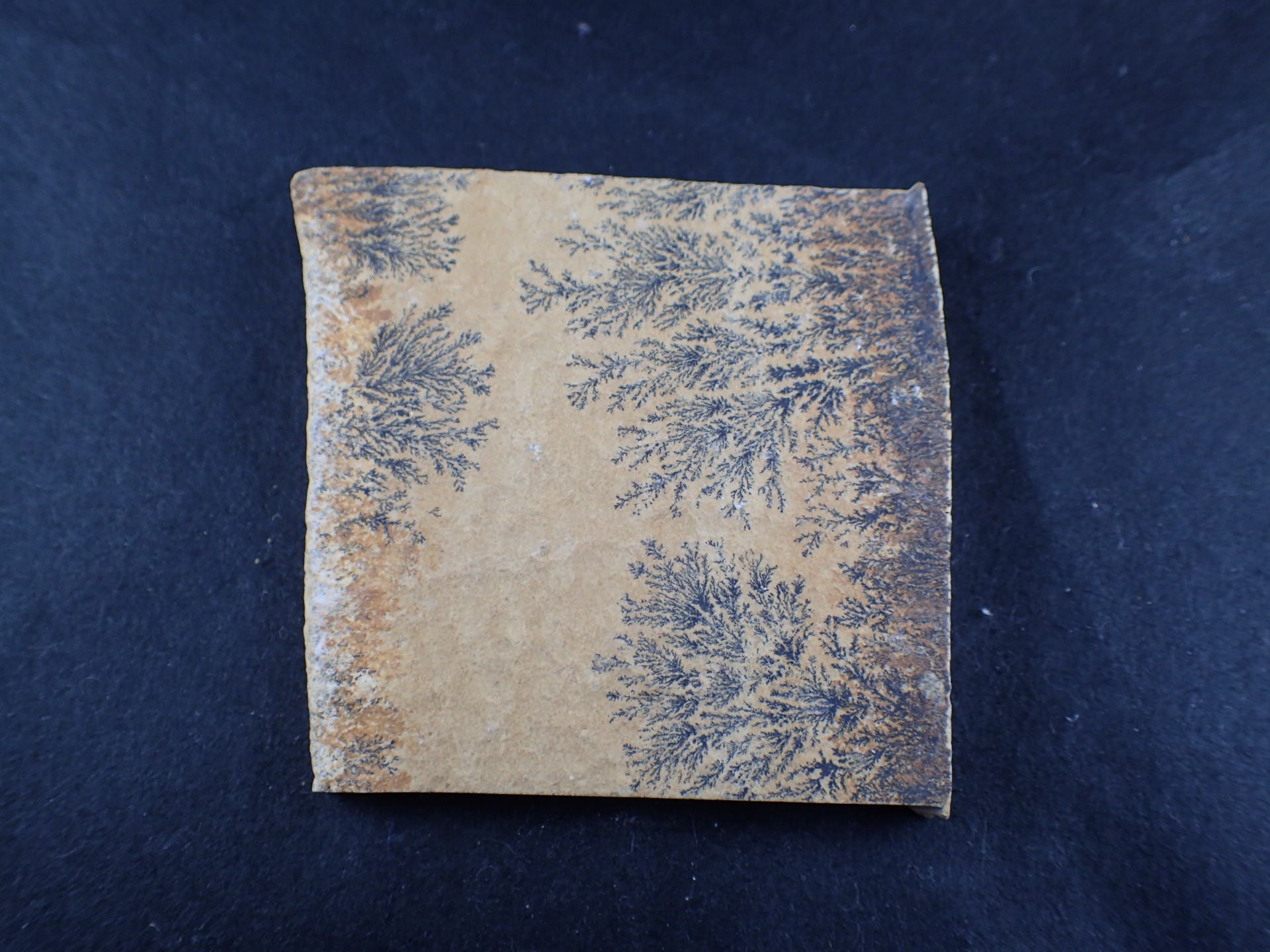 最高品質忍石（Dendrite) Solnhofen, Byern, Germany 産 ｜石の販売