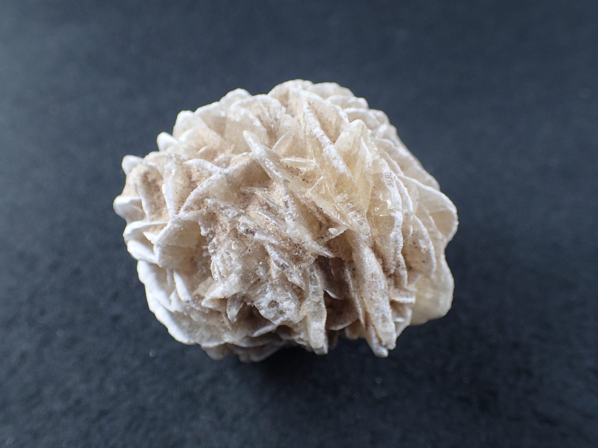 砂漠の薔薇（デザートローズ） モロッコ・サハラ砂漠 産 ｜石の販売