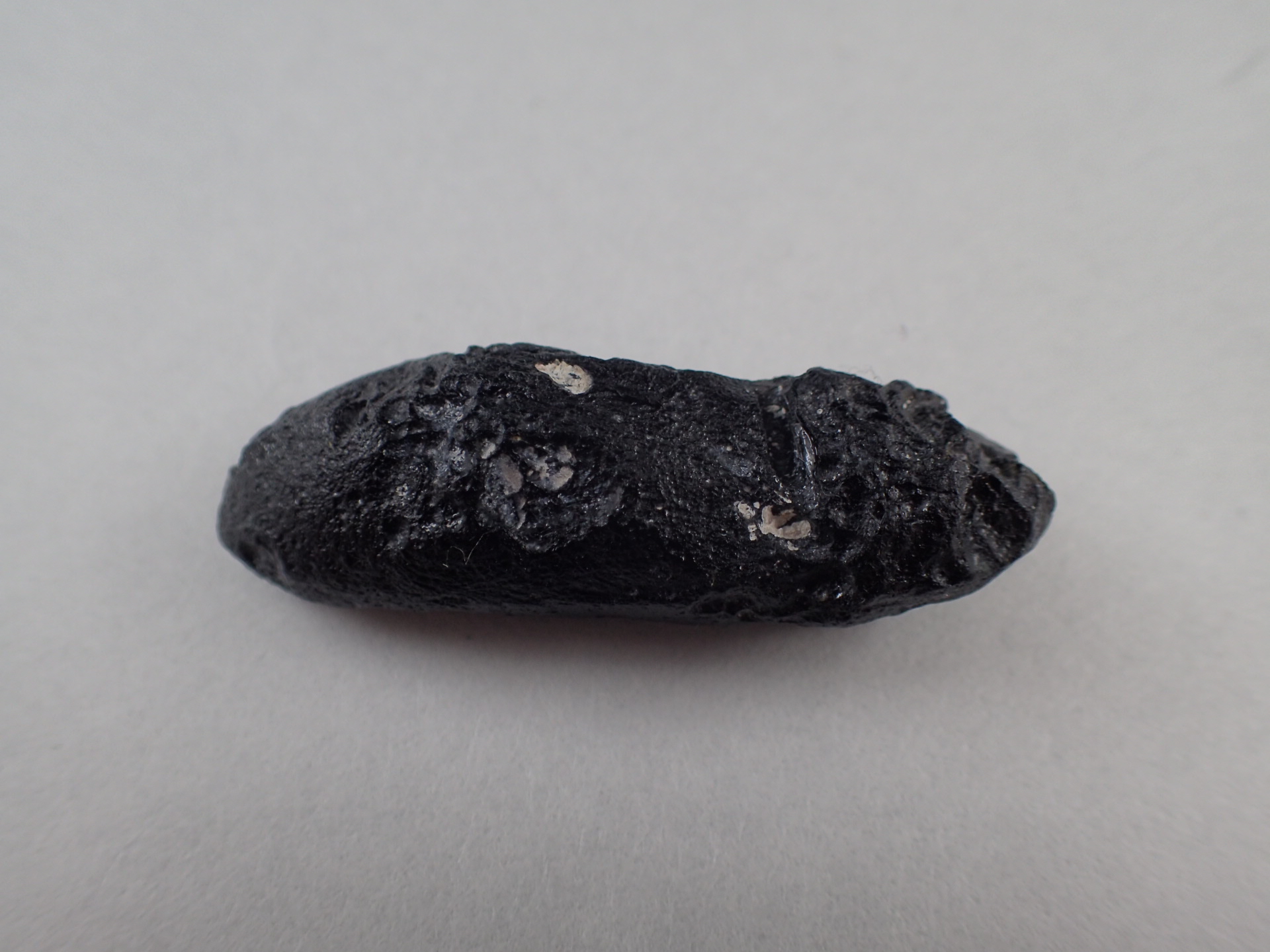 テクタイト（Tektite) ｜石の販売専門店【vec stone club】