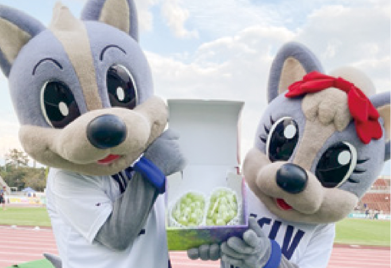 ふるさと応援会員 | ヴァンフォーレ甲府 公式サイト