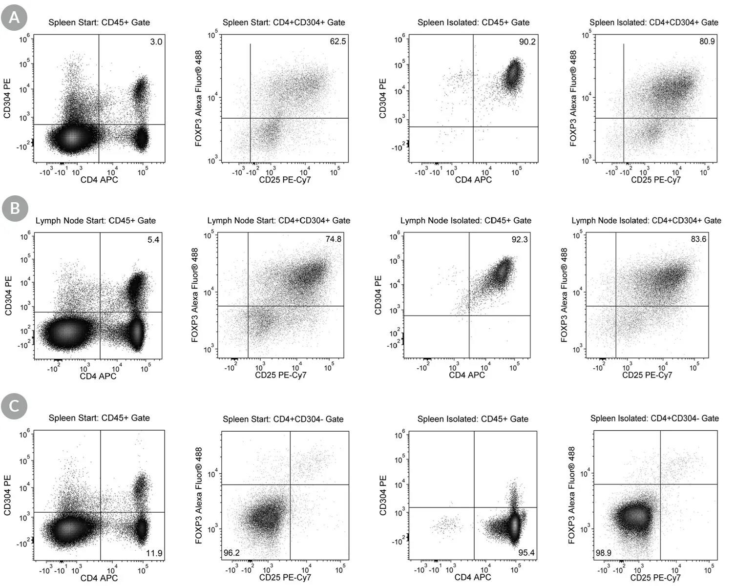 EasySep Release Mouse CD4+CD304+ Regulatory T Cell Isolation Kit