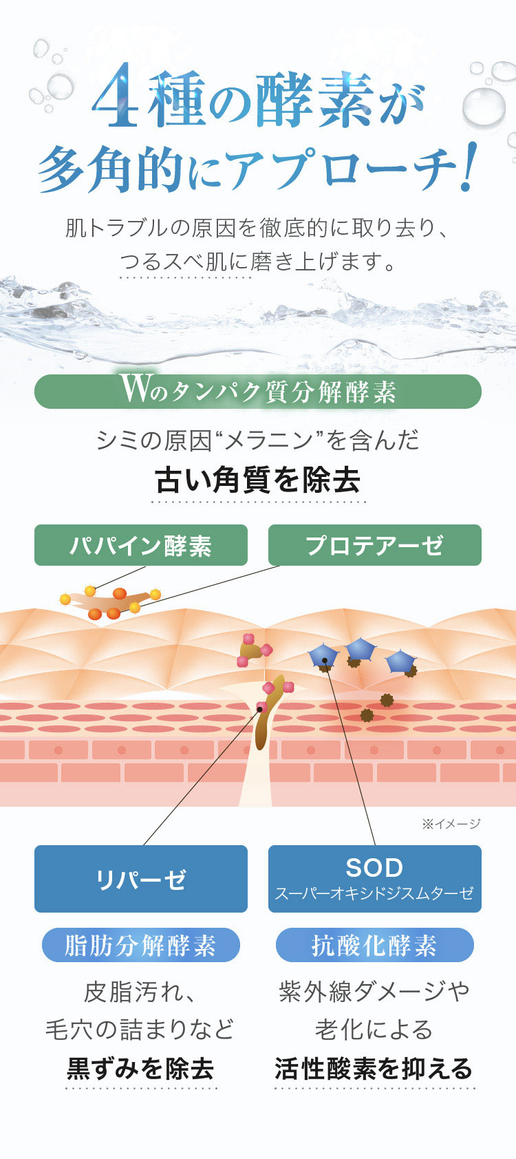 ヴァーナル[薬用]ウォッシュパウダー（医薬部外品）30包: スペシャルケア