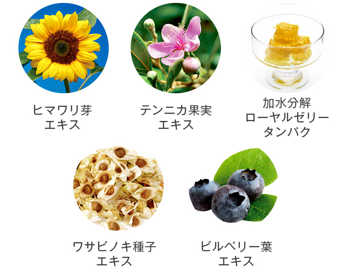 ヴァーナル[薬用]エッセンスサンスクリーン（医薬部外品）30mL