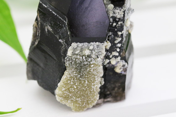 高品質 ヒマラヤ産 黒水晶（モリオン） ポイント | ハワイ