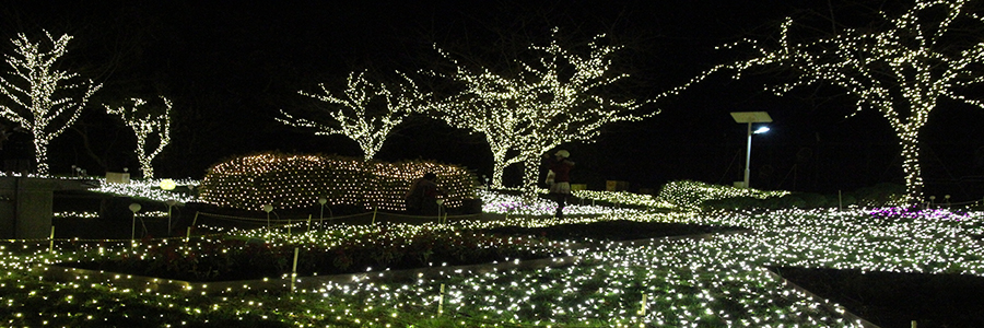 クリスマスデコライト | LEDネットイルミネーション（網状ライト）の販売