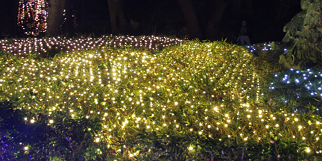 クリスマスデコライト | LEDネットイルミネーション（網状ライト）の販売