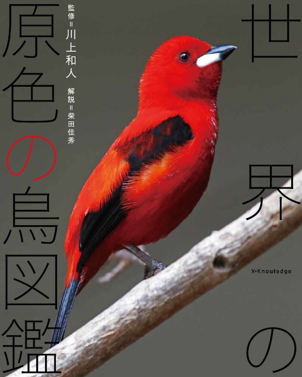 X-Knowledge | 世界の原色の鳥図鑑