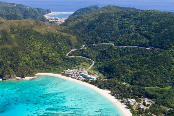 再販スタート｜沖縄 月桃（タイリン）エッセンシャルオイル - ヤング