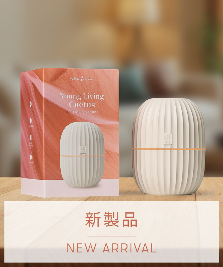 新製品｜「カクタスディフューザー」がついに単品で販売開始