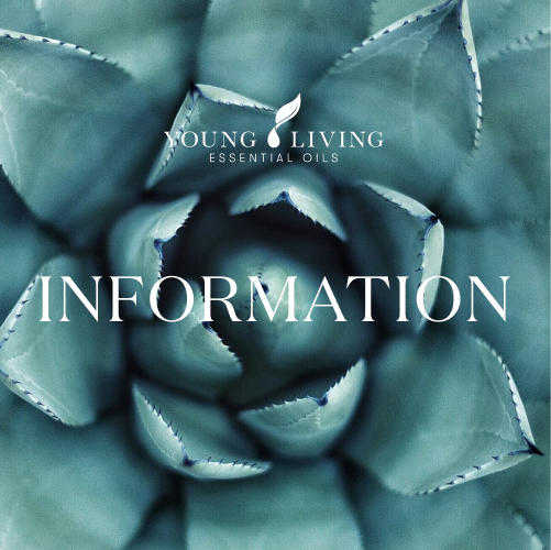 入荷・欠品情報（3月3日更新） - ヤング・リビング 公式ブログ