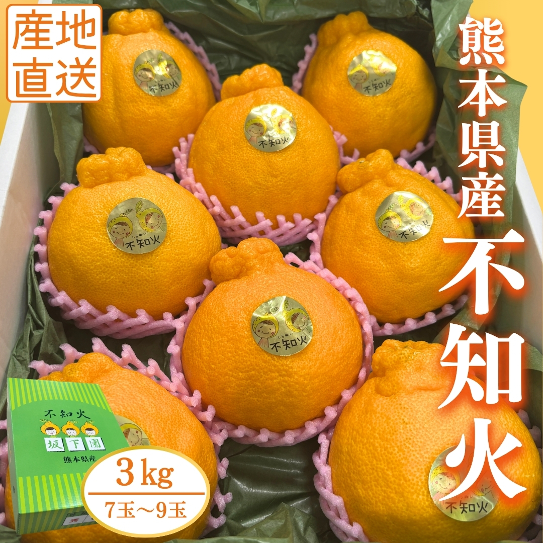 熊本県産】晩白柚～お正月縁起物セット～ やつしろサニーサイドファーム