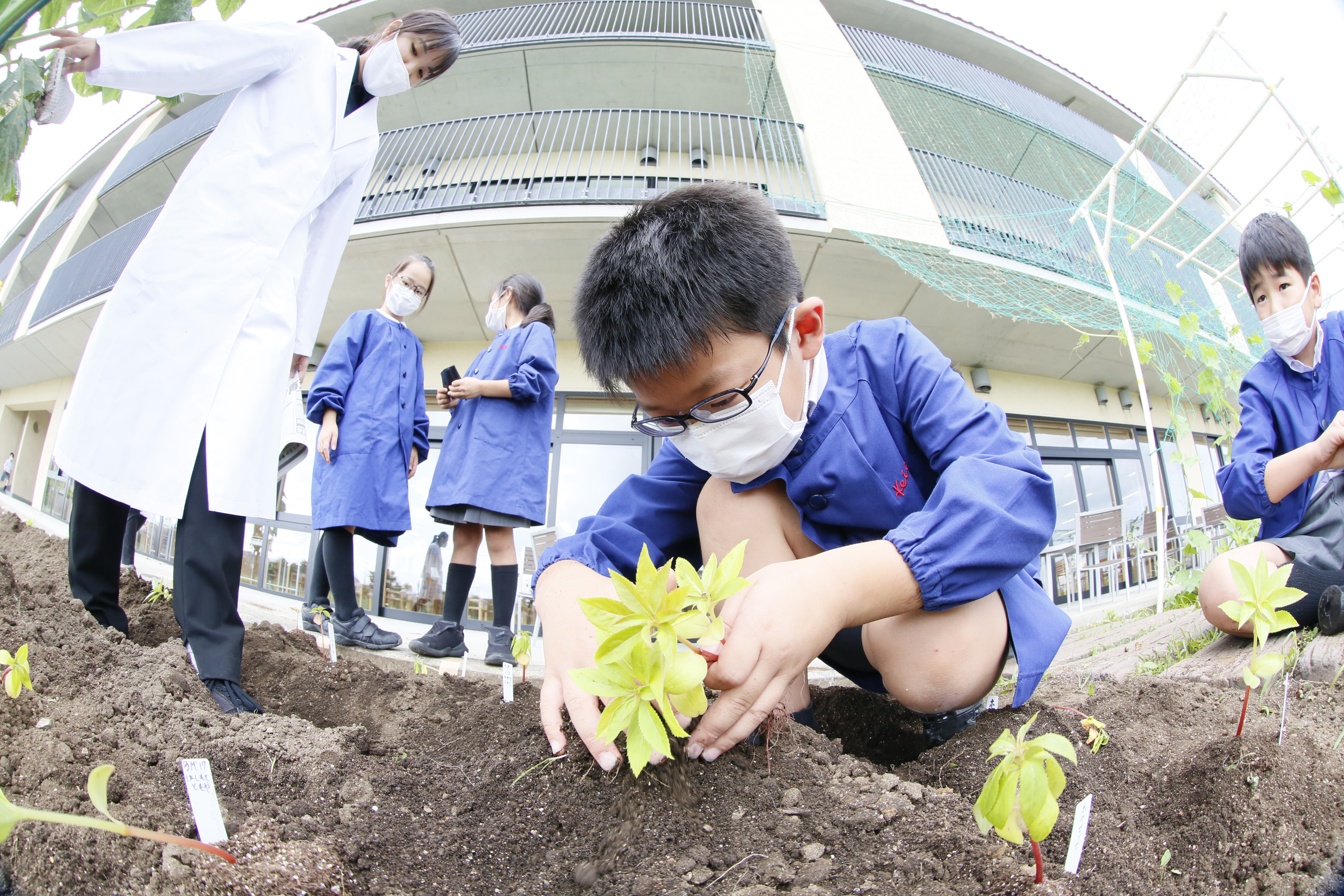科目概要 - 教育内容 - 慶應義塾横浜初等部