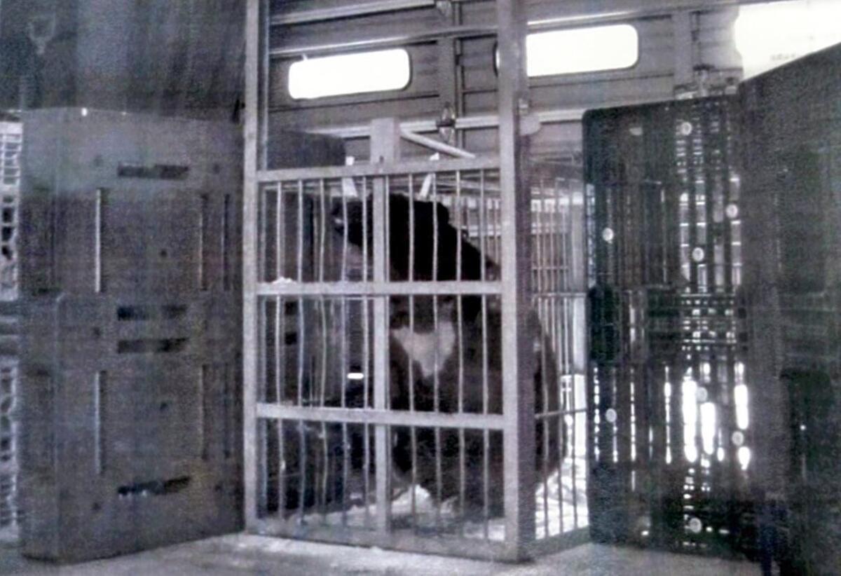 20251223-GYT1I00308-1.jpg?type=ogp