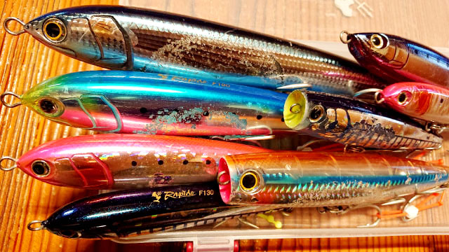 釣りサポ｜Maria｜海のルアーフィッシングのパイオニア