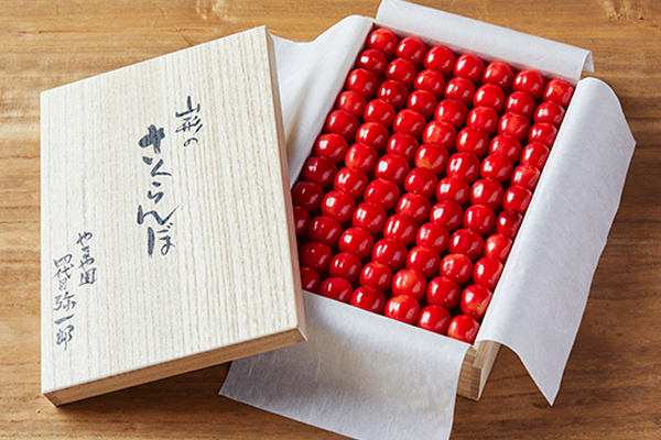 やまや園 山形のおいしいさくらんぼ 佐藤錦