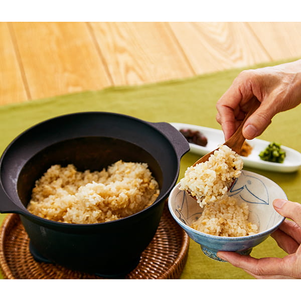 南部鉄器 ごはん鍋 3合 (IH対応)｜鉄器｜料理家 栗原はるみ レシピ