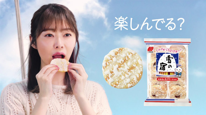 三幸製菓 雪の宿 どでかクッション 2006年当選品 三幸製菓 雪