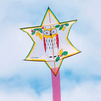 凧基本セット BX-2 (大) | ゆめ画材