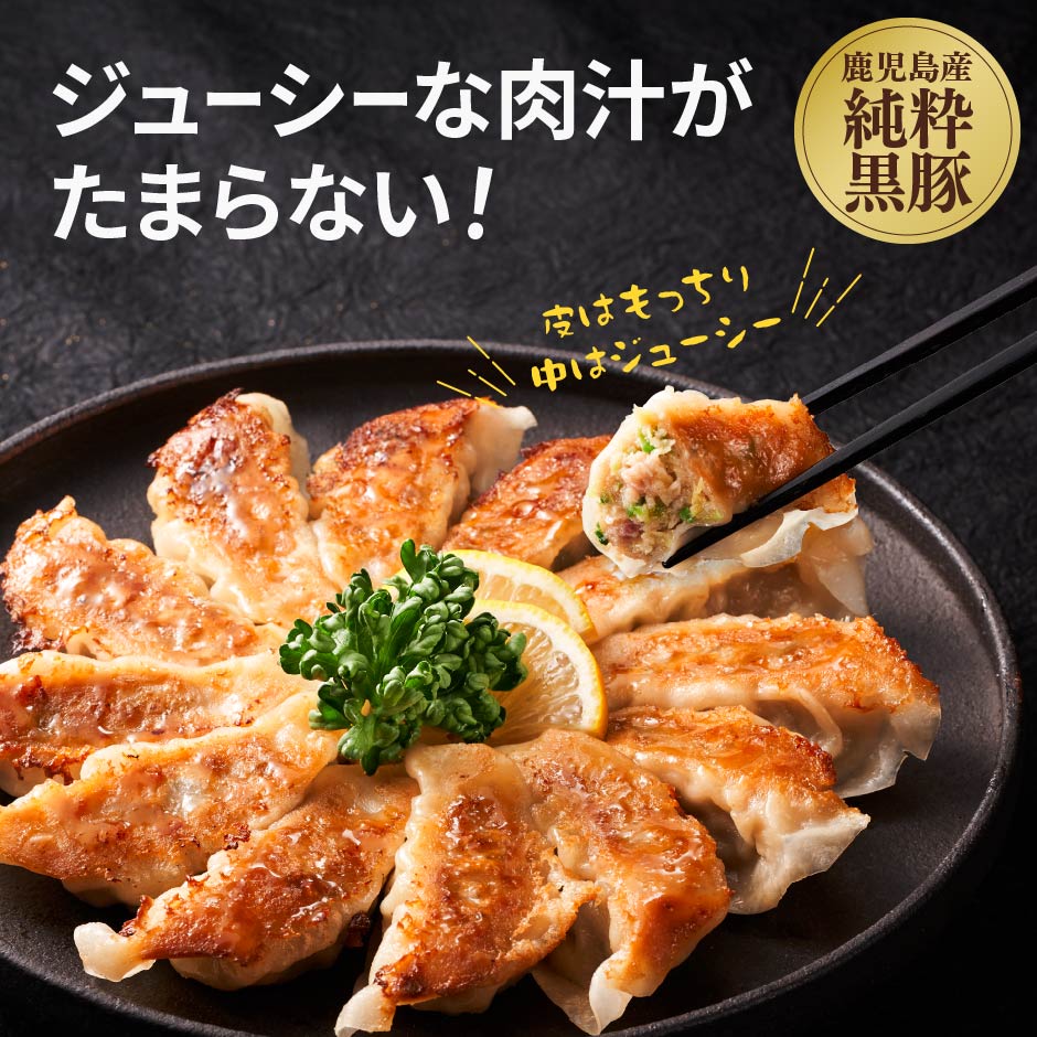 こだわり黒豚ギョーザ12個入×5パック｜水・焼酎の財宝オンラインショップ