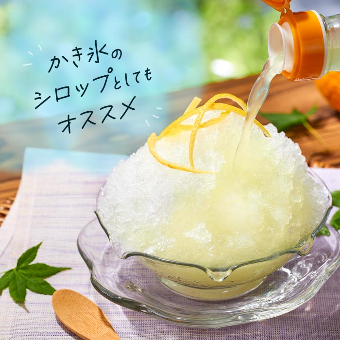 おいしいネ。ゆずだもん。希釈タイプ500ml×6本｜水・焼酎の財宝