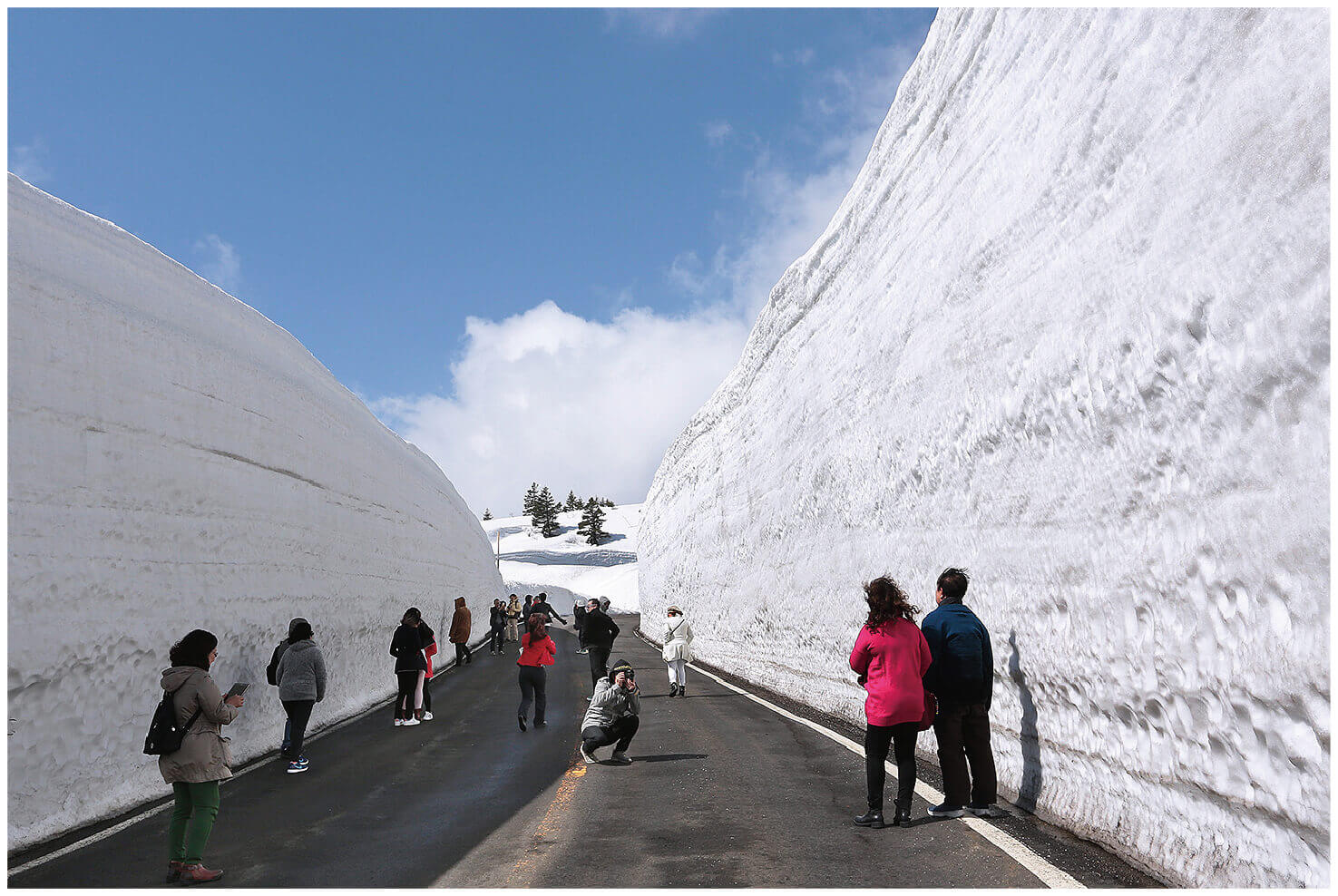 蔵王エコーライン『雪の壁ウォーク 2023』