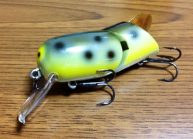 1から分かるBass Fishing 初心者講座 | IMAKATSU