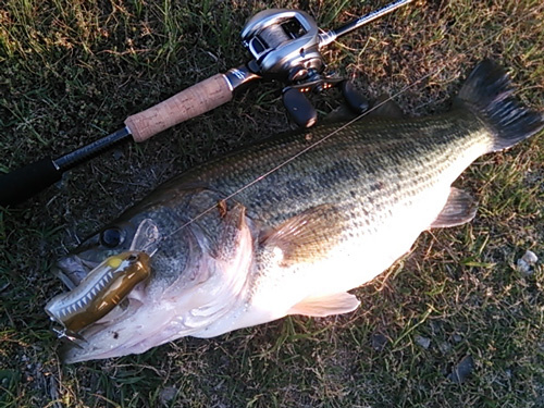 K.IMAE Top Secret | IMAKATSU