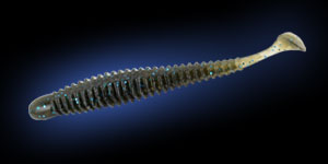 Ankle Goby アンクルゴビー ｜ IMAKATSU ｜