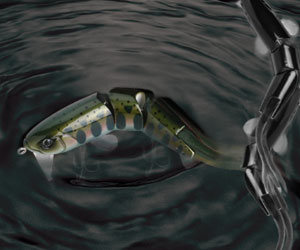 HUSKY HASUZZY ハスキーハスジー ｜ IMAKATSU ｜