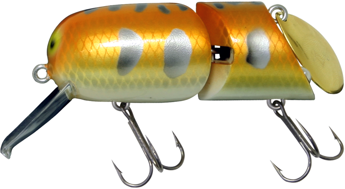 イマカツ 超レア⁈フィジェット FIDGET フィジェット ｜ IMAKATSU ｜