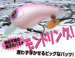 BIG BATS ビッグバッツ ｜ IMAKATSU ｜