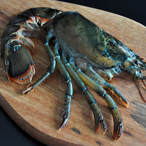 Split Half Lobster - Wulf's Fish