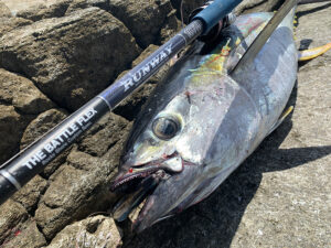 RUNWAY ROCKSHORE MODEL - XESTAゼスタ公式ウェブサイト