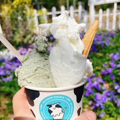 icecreamfactory PiPi（アイスクリームファクトリー ピピ）(【旧店名