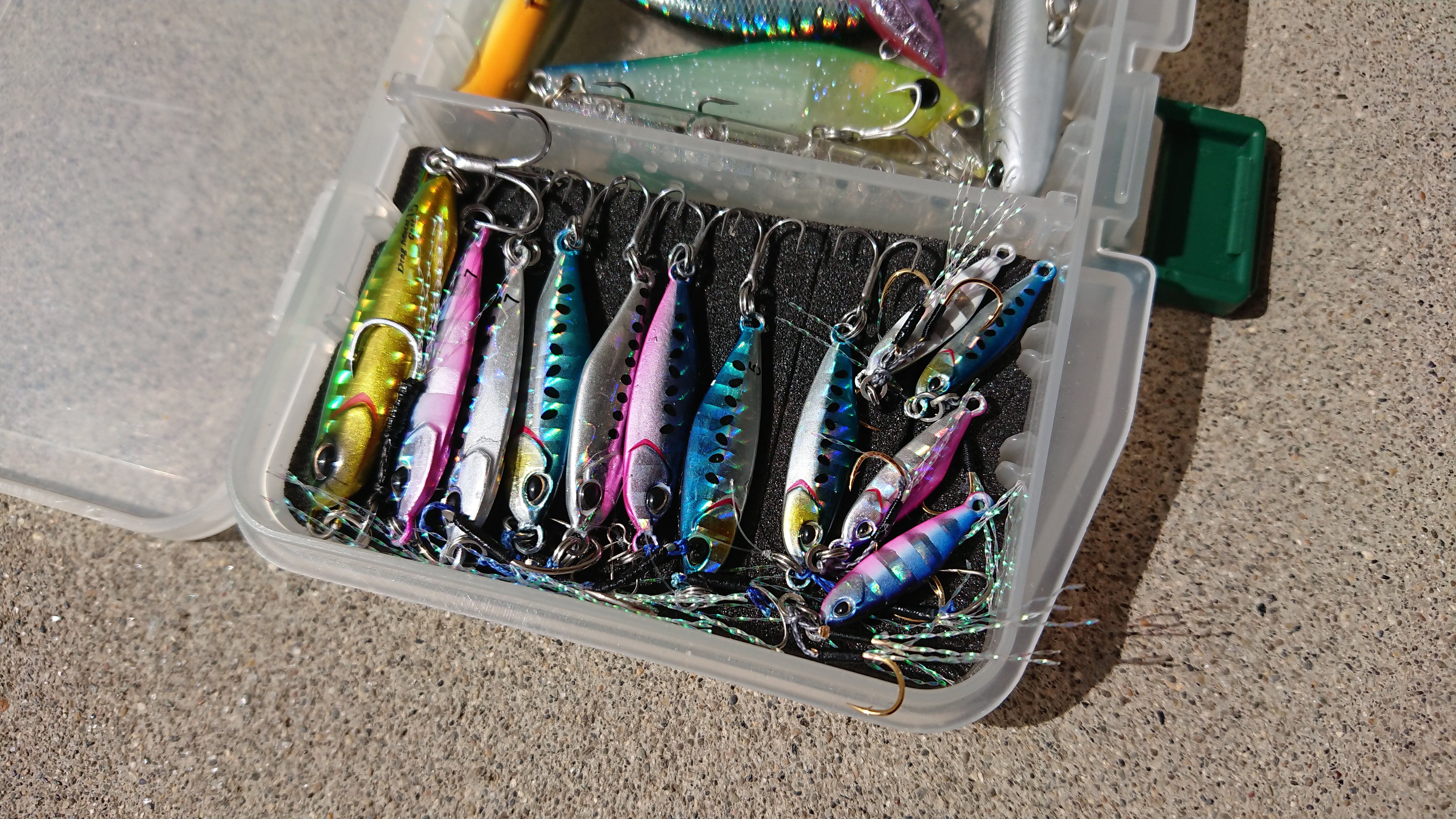 フィールドスタッフレポート『スーパーライトショアジギング