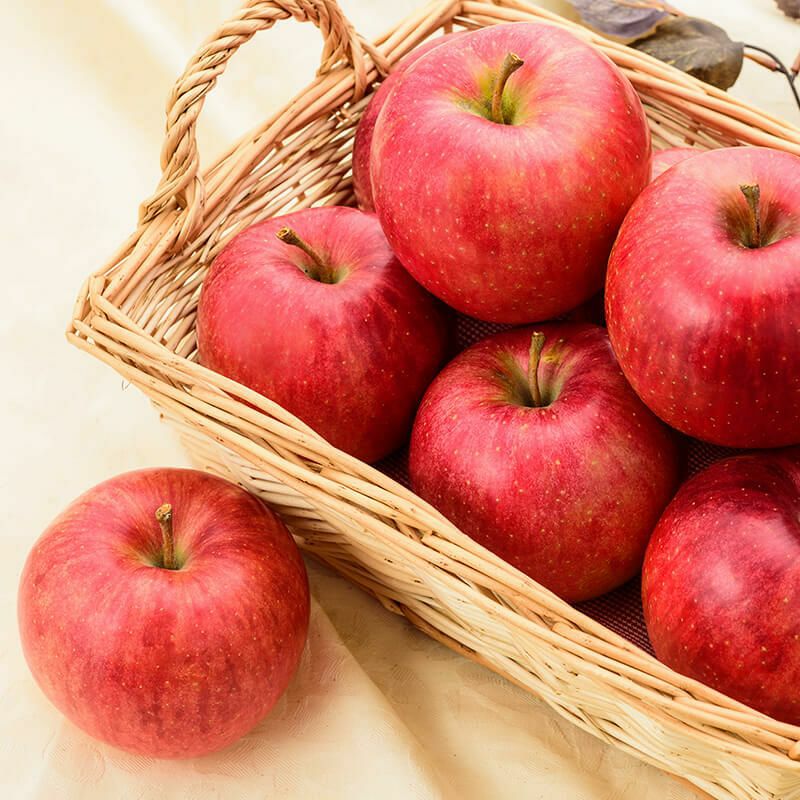 農林水産大臣賞 ふじりんご 山形県産ふじリンゴの最高峰贈答用｜清川屋