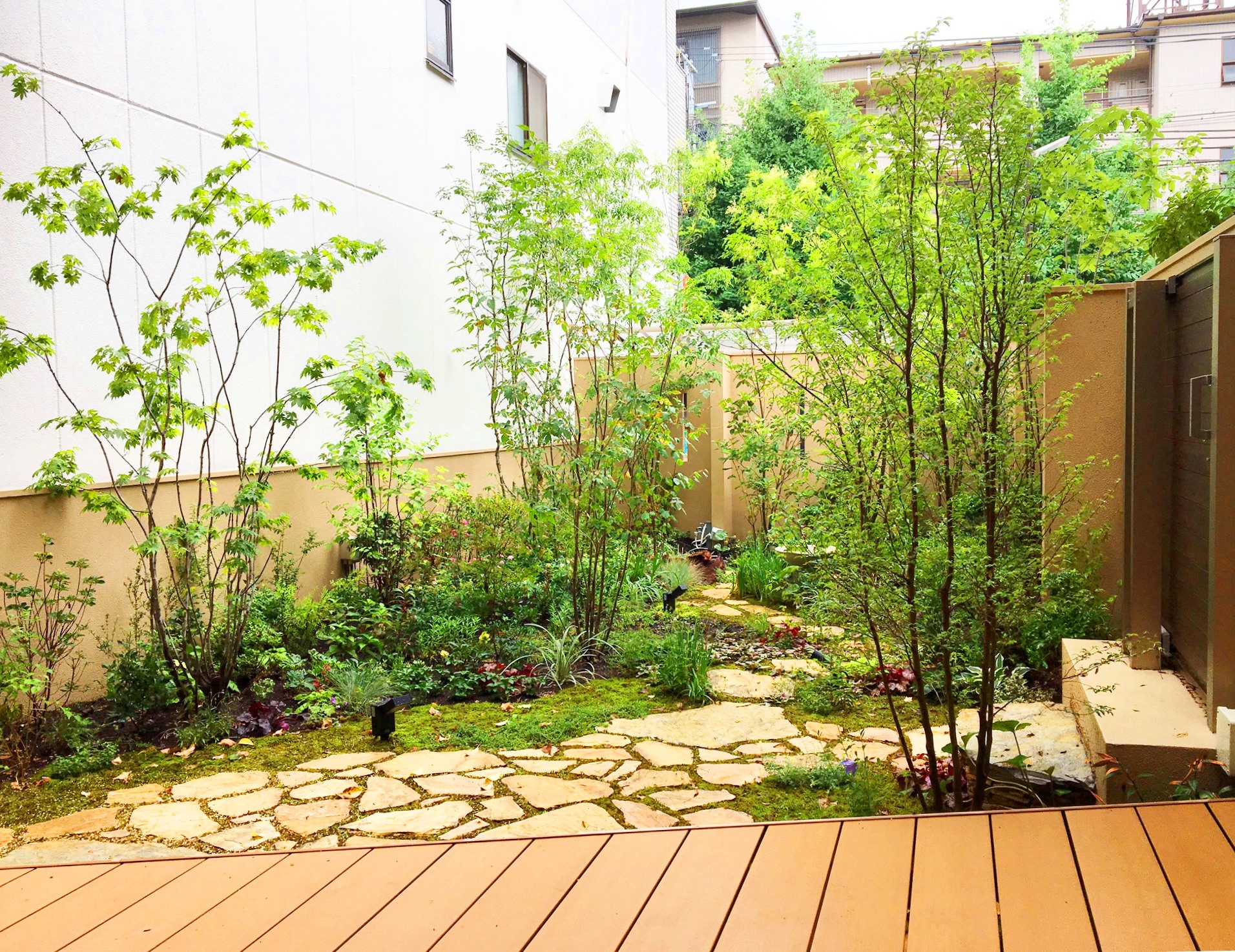 二条の庭｜施工事例｜山田造園｜京都の庭、造園 造園工事 外構 剪定