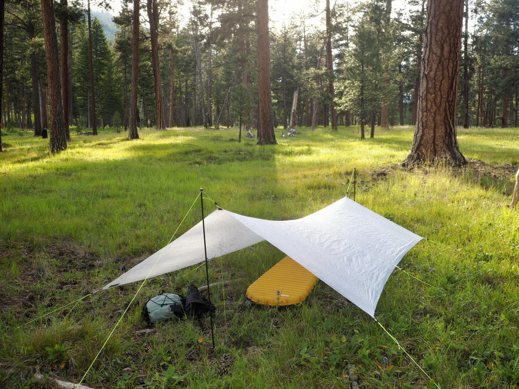 OI000489-01_4100x.jpg?v=1624071649