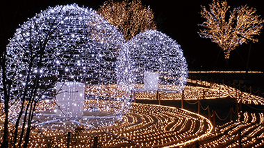 商品紹介 モチーフライト｜やまと興業 商品部