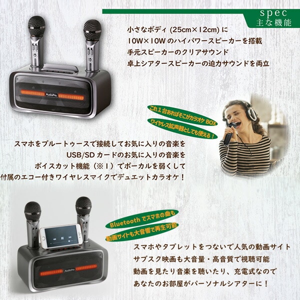 手元スピーカー カラオケマイクセット マイク2本 ST-2028BT とうしょう