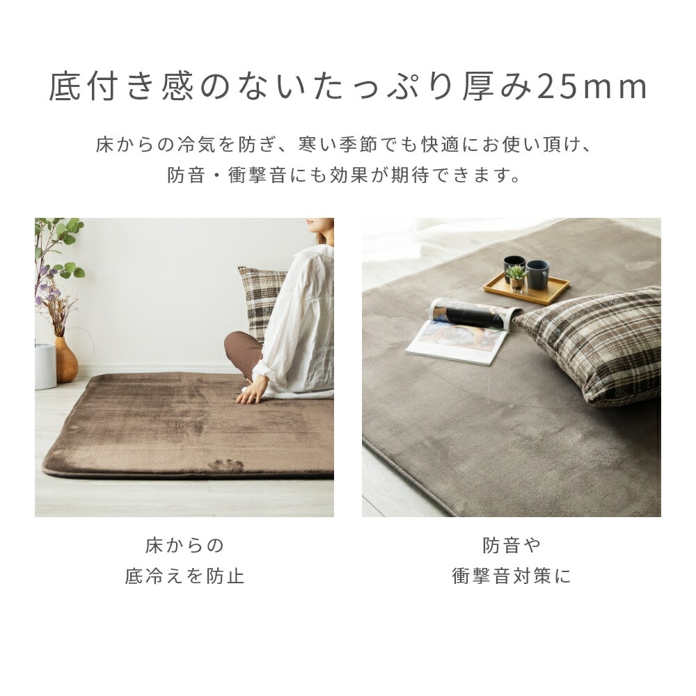 極厚フランネルラグ 抗菌 防臭 防ダニ 1.5畳/2畳/3畳 山善 | 山善