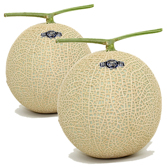 静岡産マスクメロン2個（化粧箱入り） ヤオカネ｜専門店が厳選した