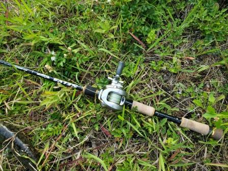 セルヴァ 使いやすい低価格のナマズロッド | 焼津パパ釣行記