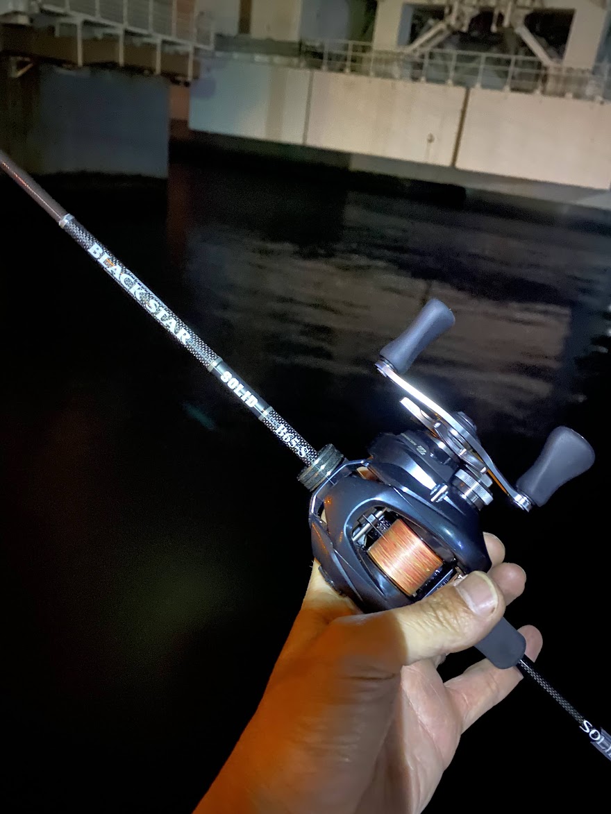 インプレ】ゼスタ ブラックスター ソリッド ベイトランサーB65-S