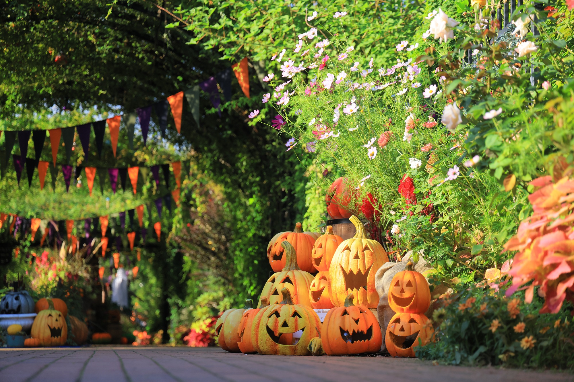 こちらのイベントは終了致しました＞9/13(土)～10/31(金)「ハロウィン