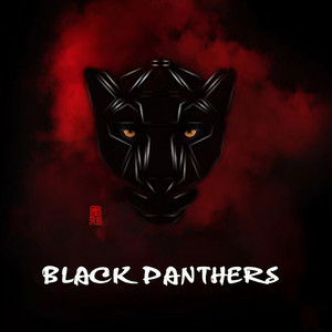 黑豹乐队_黑豹II 光芒之神(磁带首版)专辑_QQ音乐_听我想听的歌